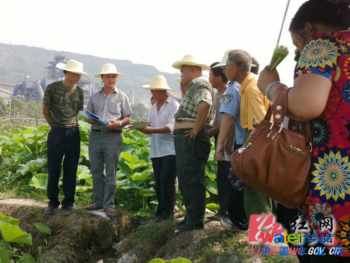 Ŀָ]ՈɲȺȫ̅c