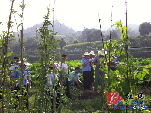 l(xing)(zhn)ˮ̎SĿO(sh)ָ]ˆT