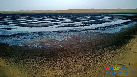 YψDvɳĮؽ𹤘I(y)@^(q)ˮM(jn)vɳĮ̎һЩС۳أеעMī֭ӵҺwеǰɫ{Ͽ߀hɫF͸¶ɳĮˮһȾޏ(f)׺ǲܵ ¾ ꐽ z