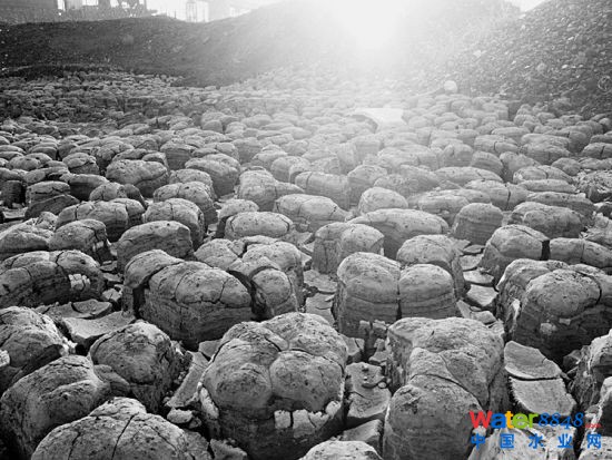 Dɽͬ_(d)úF(tun)޹˾SAȾĬF(xin)