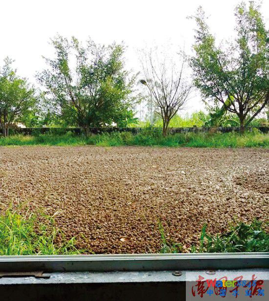 空地上堆積的污泥幾乎與廠房的窗沿一樣高了。