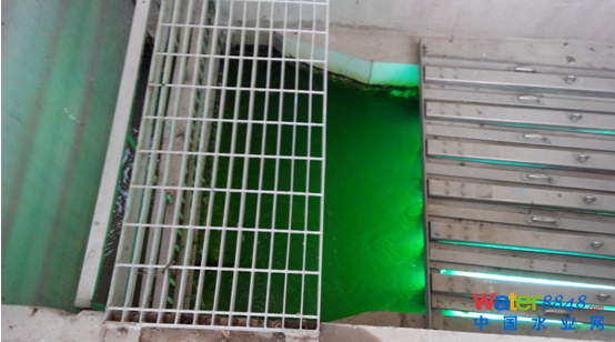 F(yng)fˮ̎S(bio)칤A(y)Ӌ(j)