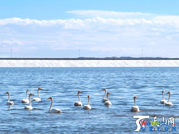 2015114գ̩ˮ̎S(chng)\(yn)