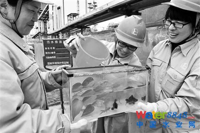 323գԭʯͻSTˮŷſȡˮ~דQˮȥԓSͶY1000fԪˮ̎ϵyM˸ʽͶԓSˮ̎վλT̎ˮB(yng)~aS^(q)һصL