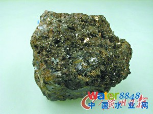 һKKĽyVʯYψDƬ