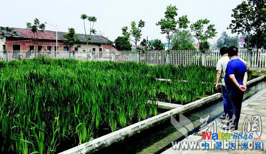 D飺O(jin)h(zhn)ˮ̎S˹عˇռش󣬾So(h)y