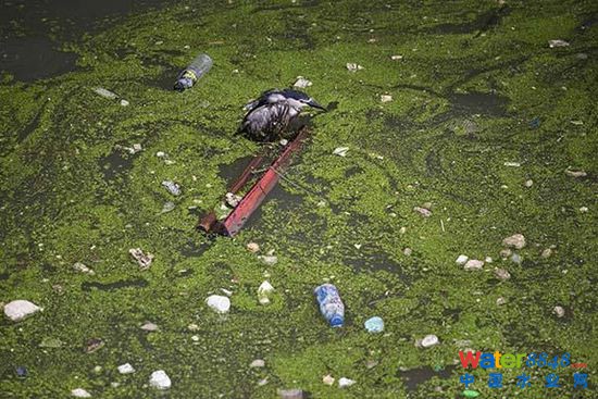 2015618Ϻ➩һֻtͣһѾGƼ֮g܇Ư