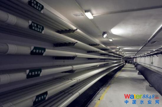 CϹĿǰÿƽrs1.2|Ԫ