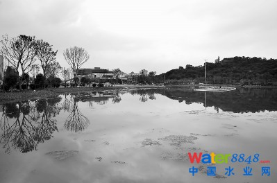 ݊Ww߅B(ti)(ni)ӣ(hu)g