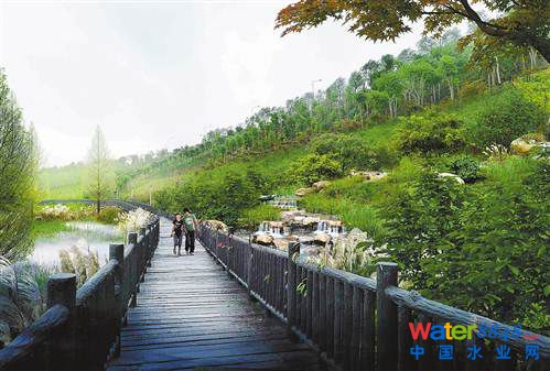 I“d”O(sh)ЧD