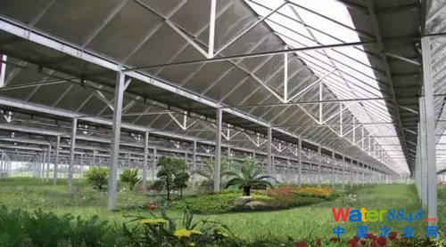 ̫(yng)̎üg(sh)-̬F(xin)(chng)D