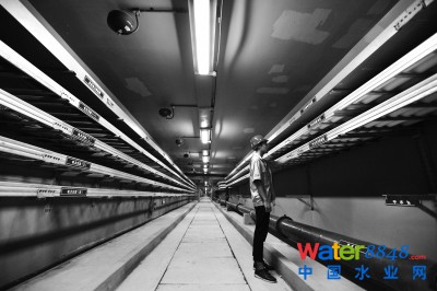 ³Ǻ͐·CϹ (bo)ӛ ʩo z