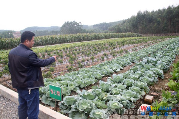 V̽͏N̎; ޏ(f)VɽB(ti)