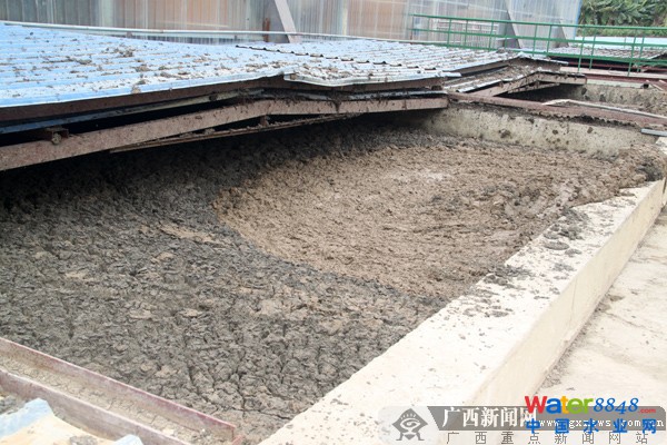 V̽͏N̎; ޏ(f)VɽB(ti)