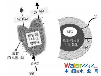 (M/O΢)D2Û΢dwl(f)^еÙC