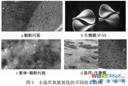 δˮ̎ˇl(f)չɷҎ(gu)ɼ(yng)