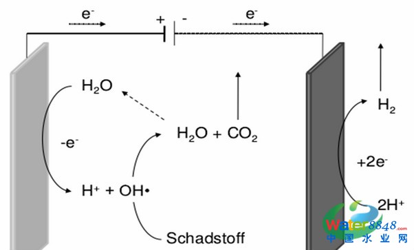 1471571856112717.jpg 1_meitu_22.jpg
