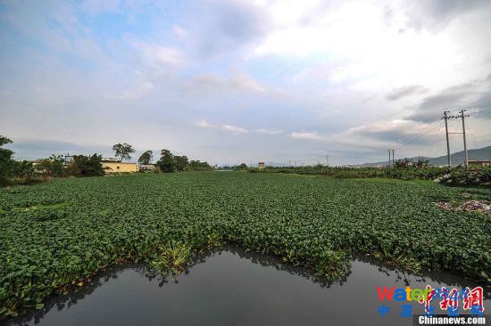 YψDڳˮw(jin)i z