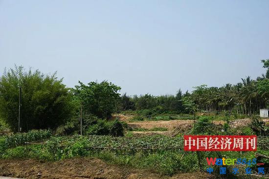 ָĻĵأڻܴ|̎Ї(jng)(j)ܿӛ Z(qing) | z