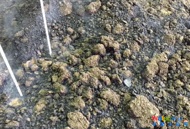 ​YMߜغl(f)ͼgr(nng)I(y)̎Iȡ@ϲЧ