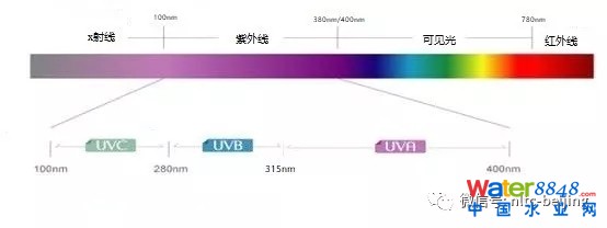 640 (1).webp (9).jpg