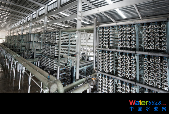 Ƽ(bo) ׃ ԿƼ(chung)´Ĥ⚤bЇƷ