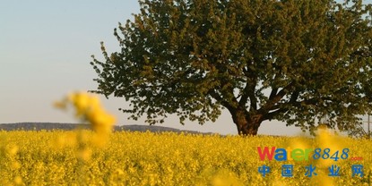 ҂(jng)LcB(ti)Rͬ