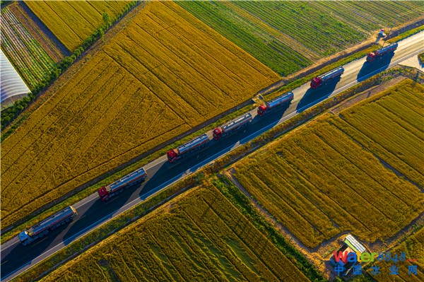 ۣGɫ̼M(jn)Aһ“oU”ĳ|ֿɼ