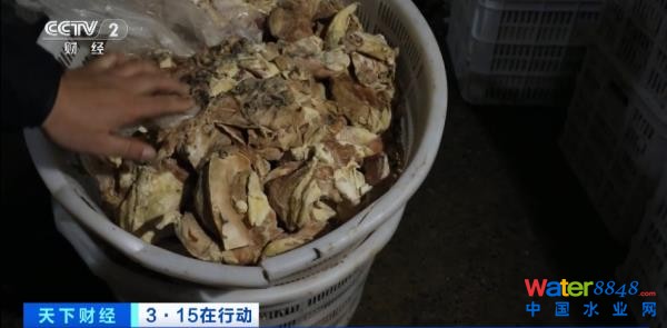 (zh)F(xin)ع⣡ȳˮM……