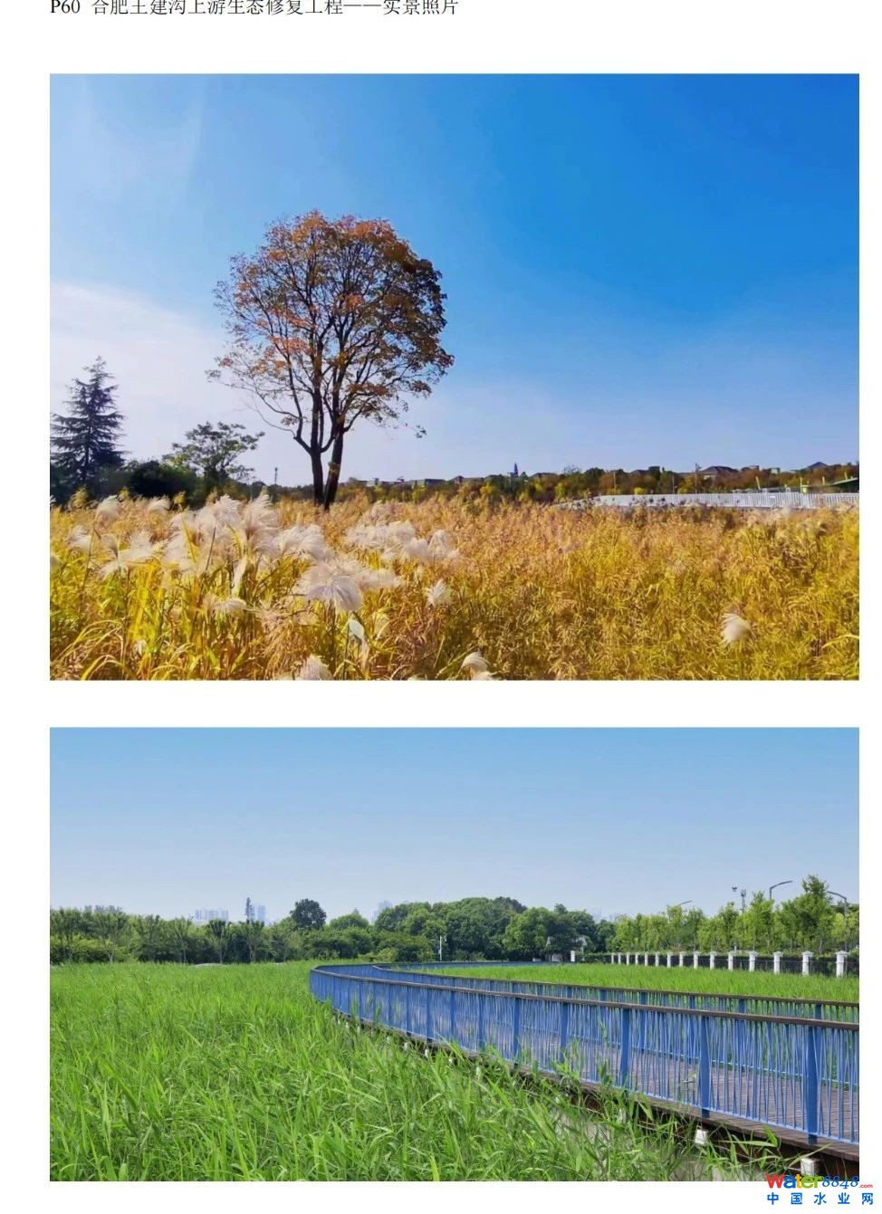 ˮǧ˴ճ̣ˮ(bio)죨ˮ|(zh)Ч߼ӑՈͬ_ˮܾW(wng)ˮh(hun)ˮYԴô/@^(q)ˮ