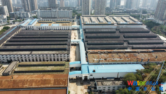 D齭^(q)^MFK18/K19ȵ؉K(ԭLS)ȾLUuĿ ؑcԺ˾D