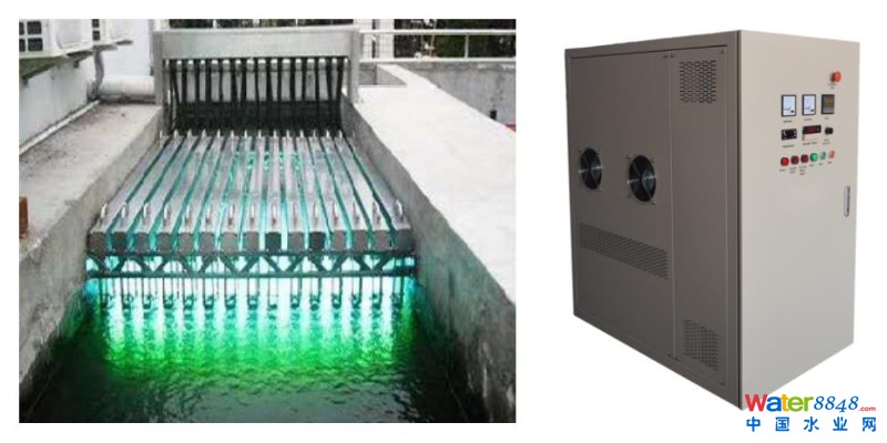 B(yng)ֳβˮ̎׃“Gɫ”